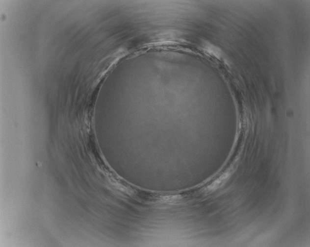 X0000069381353200605192138