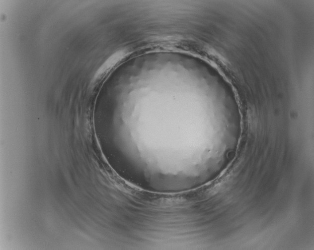 X0000069381354200605192138