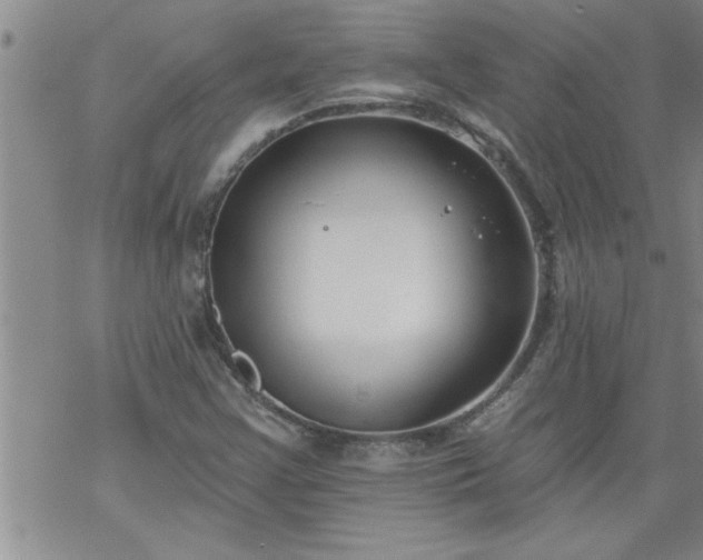 X0000069381355200605192138