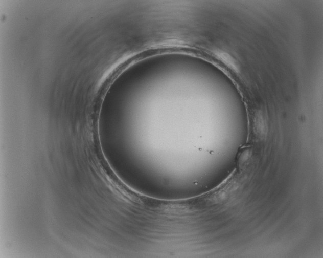 X0000069381356200605192138