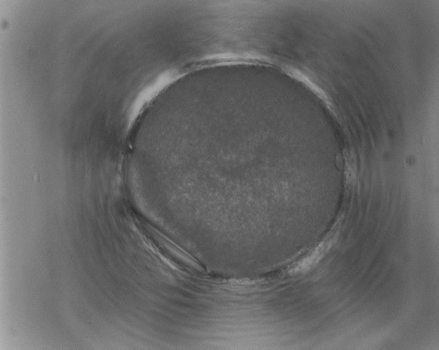 X0000069381357200605192138