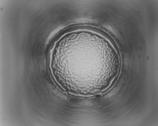 X0000069381358200605192138