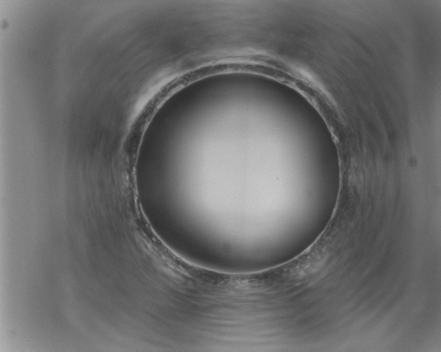 X0000069381360200605192138