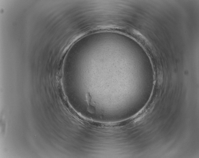 X0000069381361200605192138