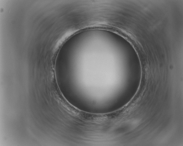 X0000069381363200605192138