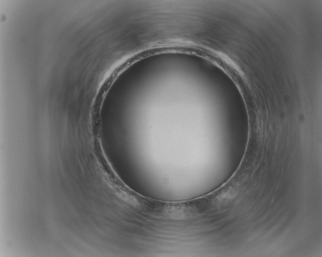 X0000069381364200605192138