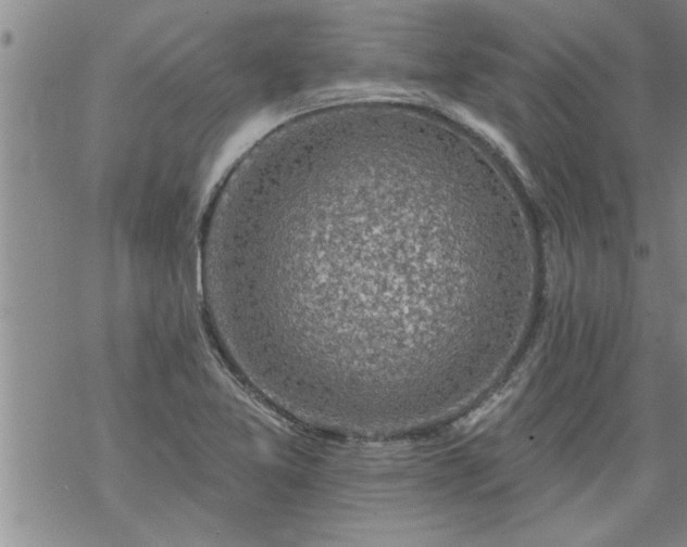 X0000069381365200605192138