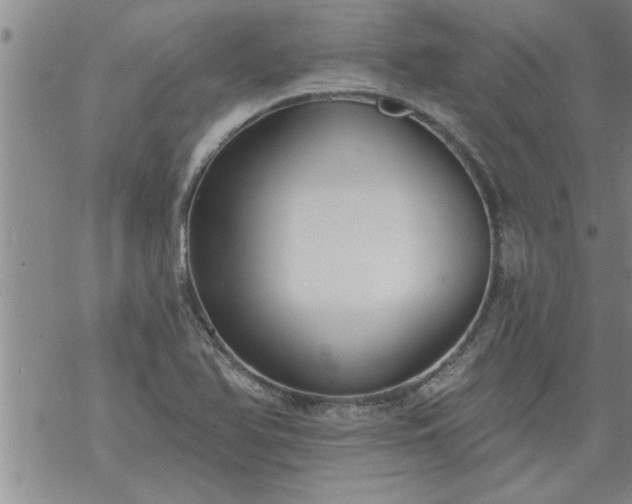 X0000069381366200605192138