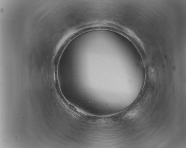 X0000069381368200605192138