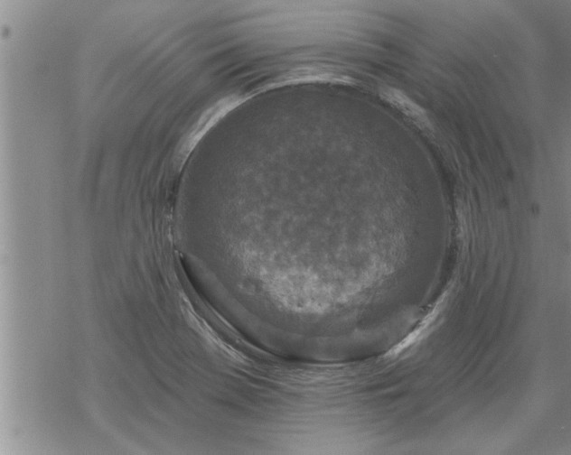 X0000069381369200605192138