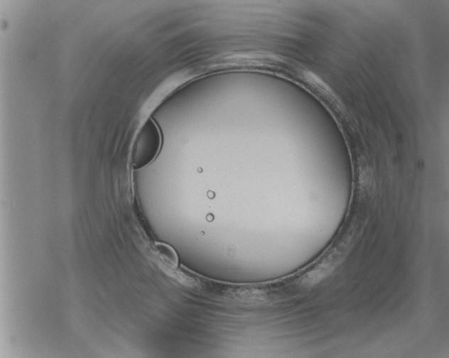 X0000069381370200605192138