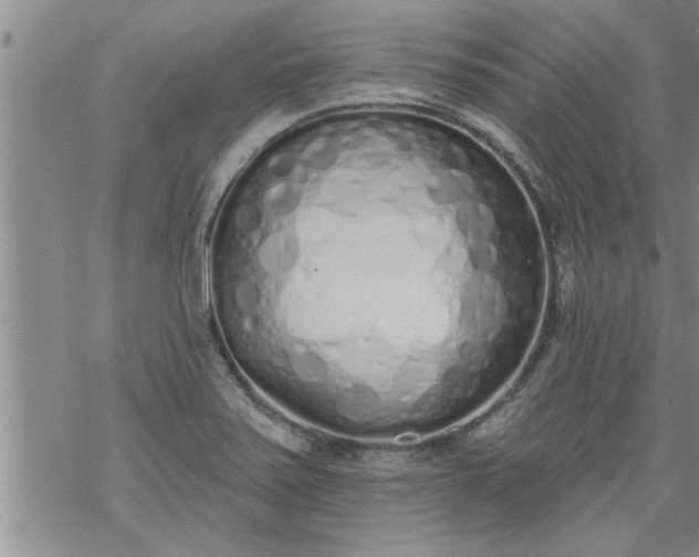 X0000069381371200605192138