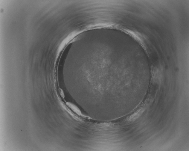 X0000069381373200605192138