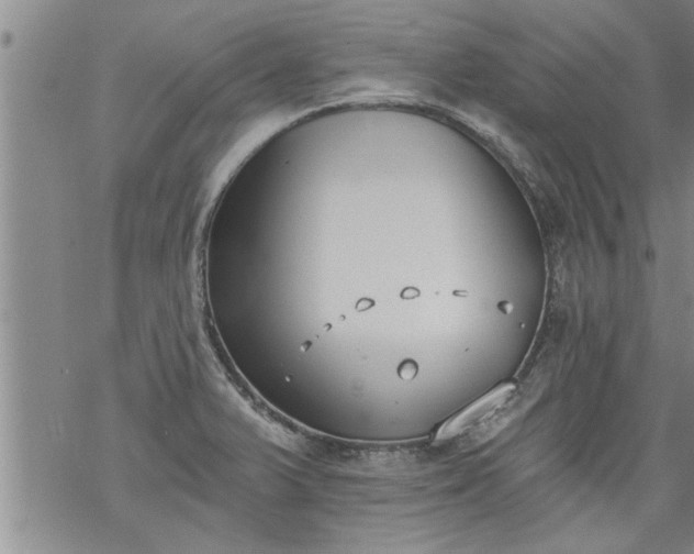 X0000069381375200605192138