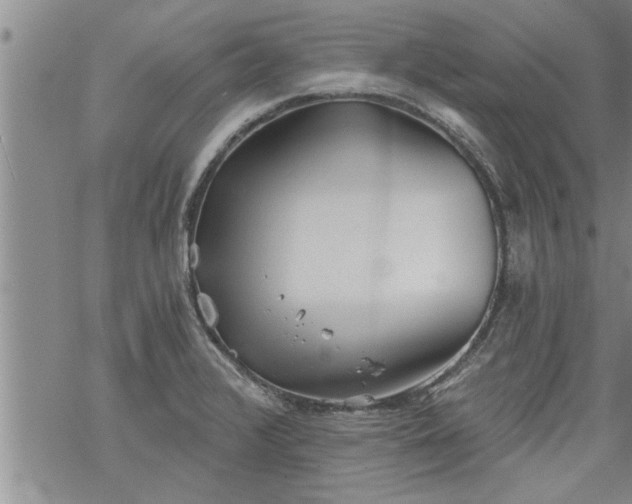 X0000069381376200605192138