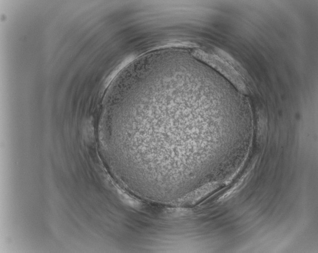 X0000069381377200605192138