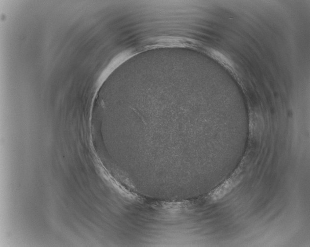 X0000069381378200605192138