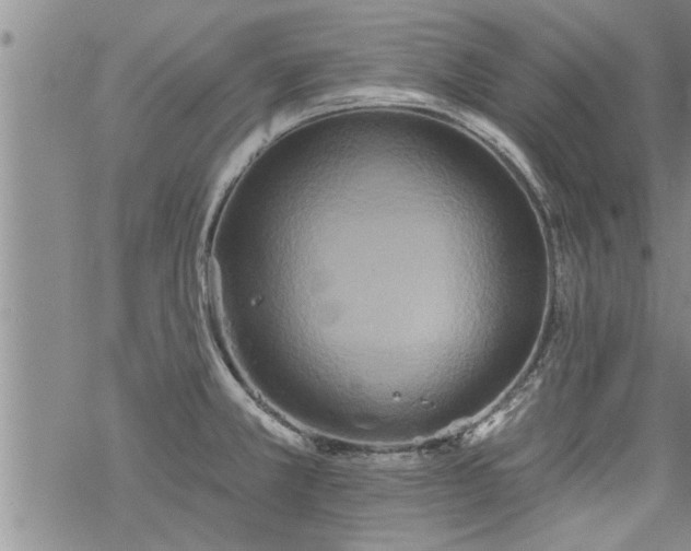 X0000069381381200605192138