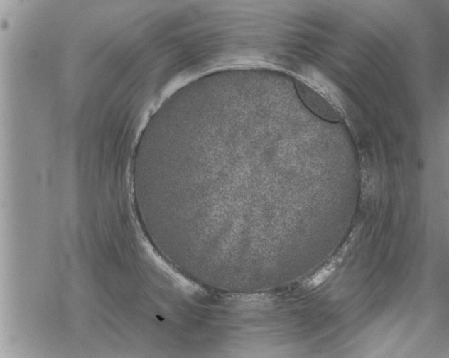 X0000069381382200605192138