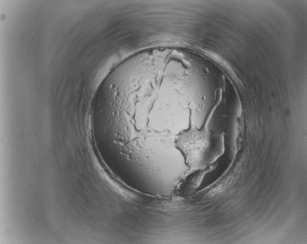 X0000069381383200605192138