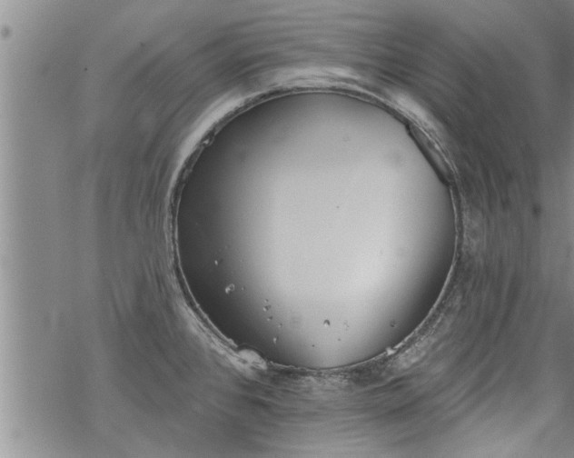 X0000069381384200605192138