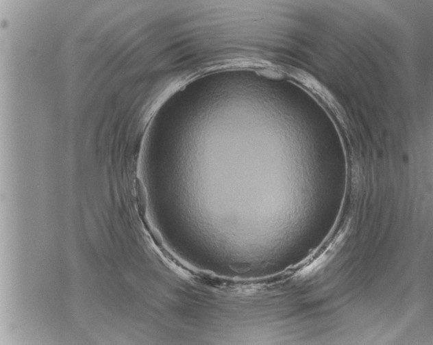 X0000069381385200605192138