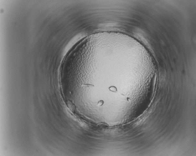 X0000069381386200605192138