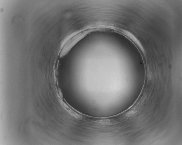 X0000069381388200605192138