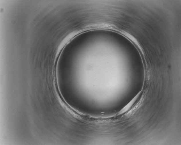 X0000069381389200605192138