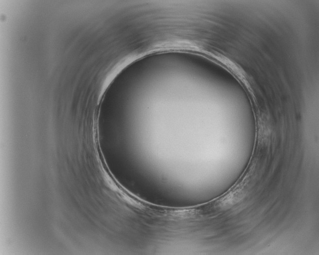 X0000069381390200605192138