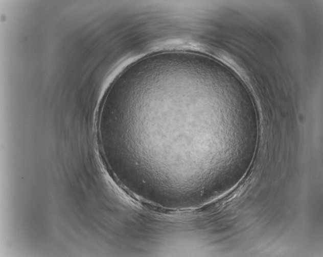 X0000069381392200605192138