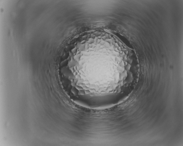 X0000069381393200605192137