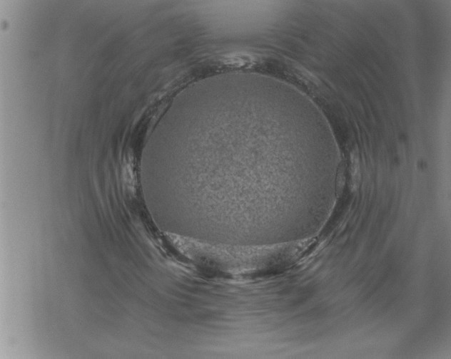 X0000069381394200605192137