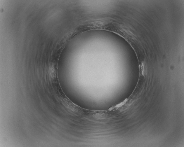 X0000069381395200605192137