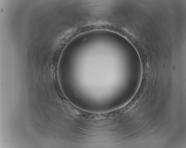 X0000069381398200605192137