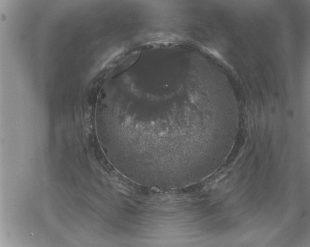 X0000069381399200605192137