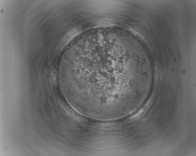 X0000069381401200605192137