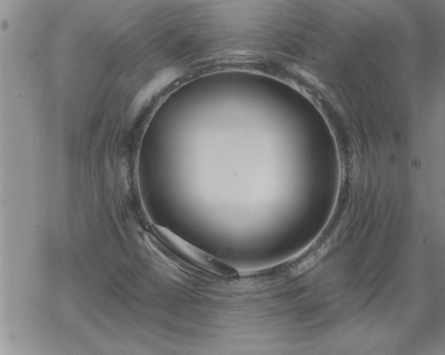 X0000069381402200605192137