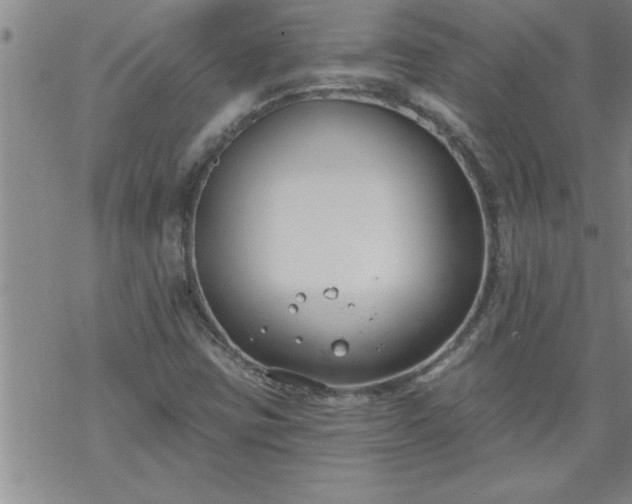 X0000069381403200605192137