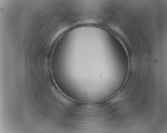 X0000069381404200605192137