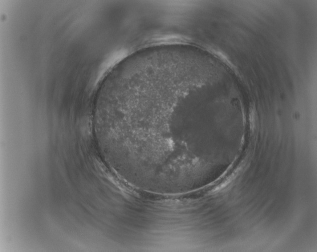 X0000069381405200605192137