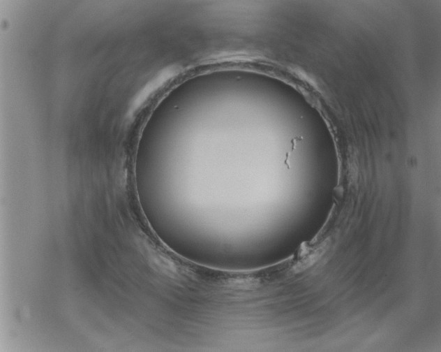 X0000069381406200605192137