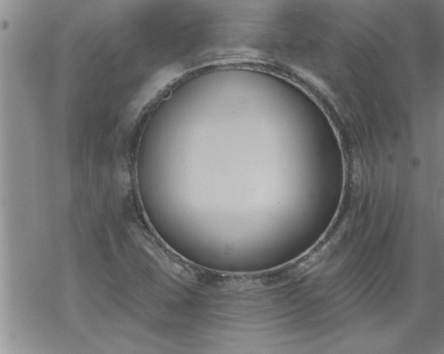 X0000069381407200605192137