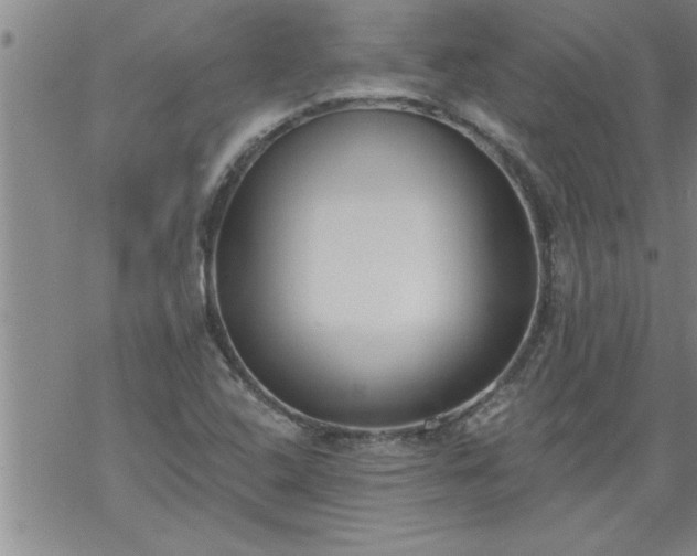 X0000069381408200605192137