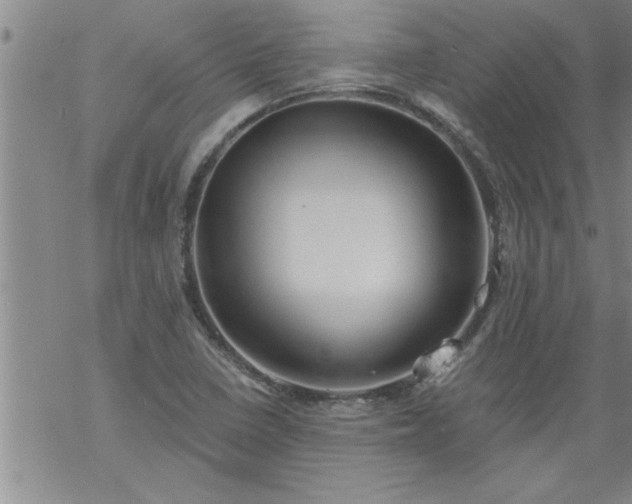 X0000069381410200605192137