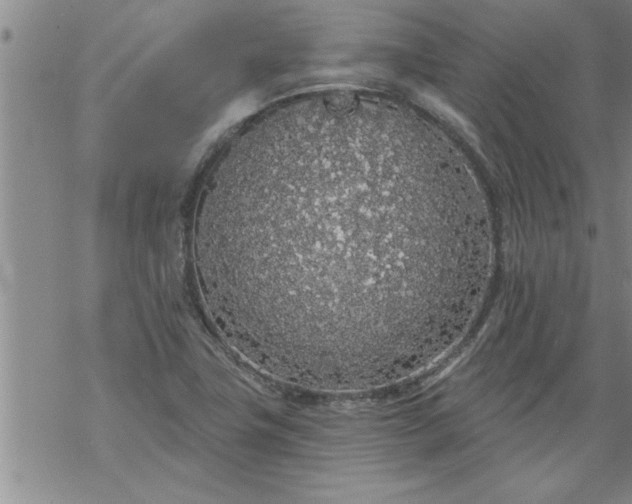 X0000069381411200605192137