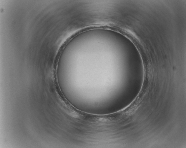 X0000069381412200605192137