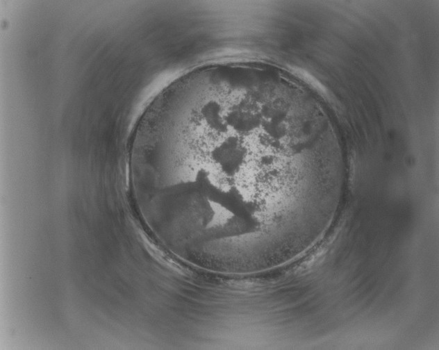 X0000069381413200605192137