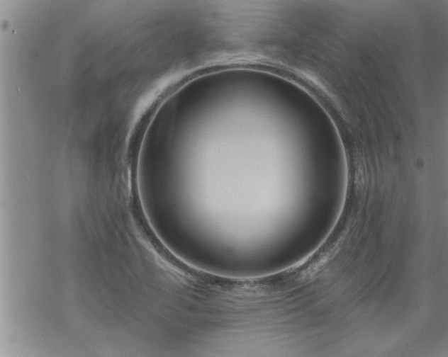 X0000069381414200605192137