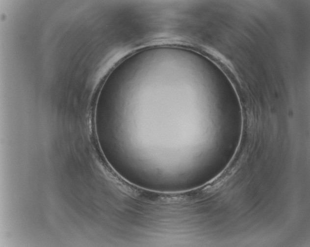 X0000069381415200605192137